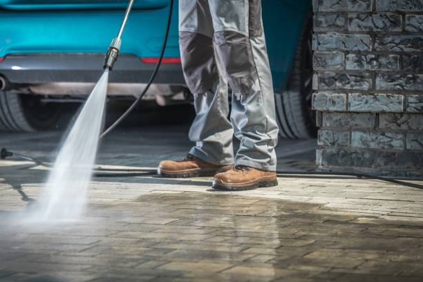 Best Gutter Cleaning  in Linden, AZ