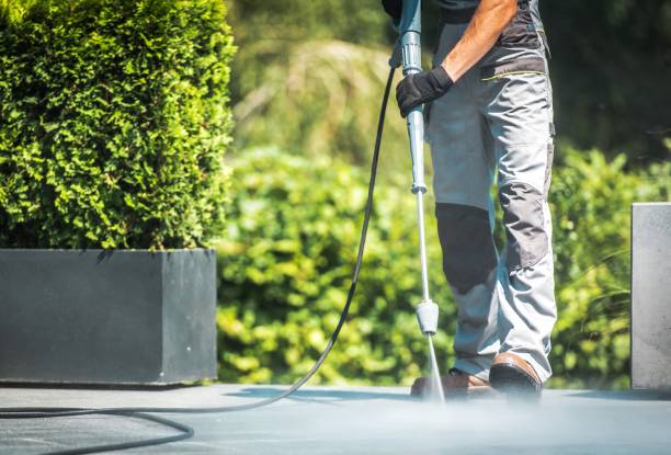 Best Solar Panel Cleaning  in Linden, AZ