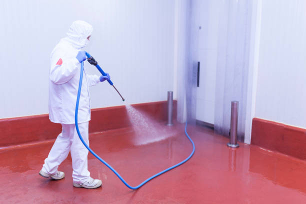 Best Graffiti Removal  in Linden, AZ